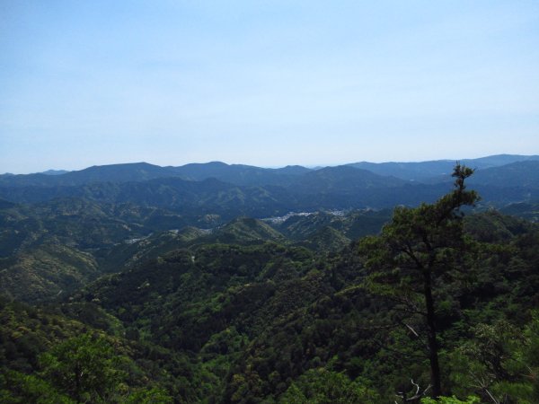 登山道